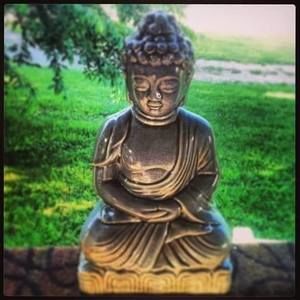 Meet your Posher, Chip